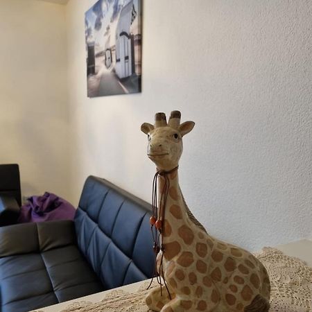 Monteurwohnung App 5 Pirmasens Exteriör bild